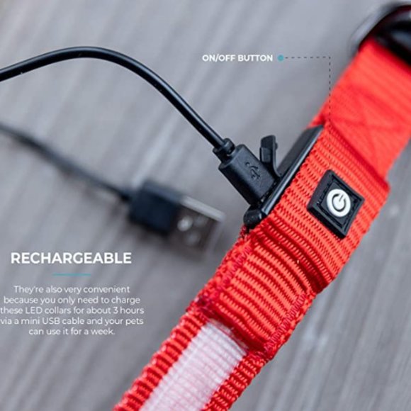 Country Living by Silver Paw Light Up Dog Collars, LED USB Rechargeable Dog Coll - Picture 4 of 4